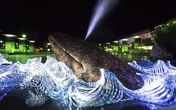 bristol whale