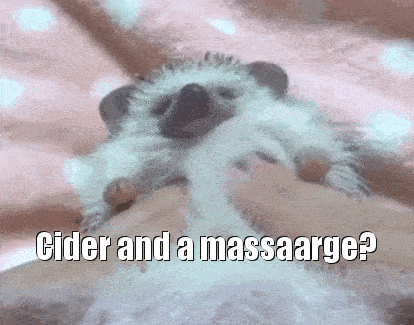 cider and a massarge