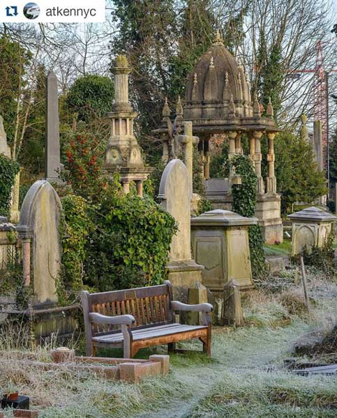 frosty arnos vale