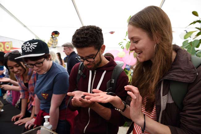 bristol festival of nature 