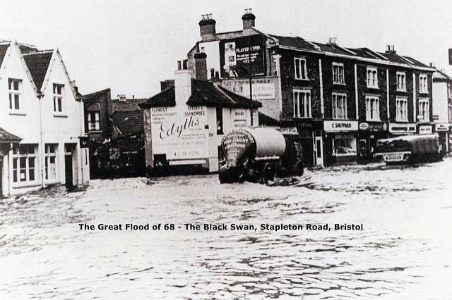 black swan floods