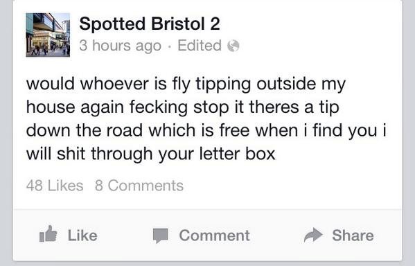 spotted bristol