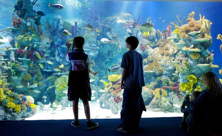 bristol aquarium
