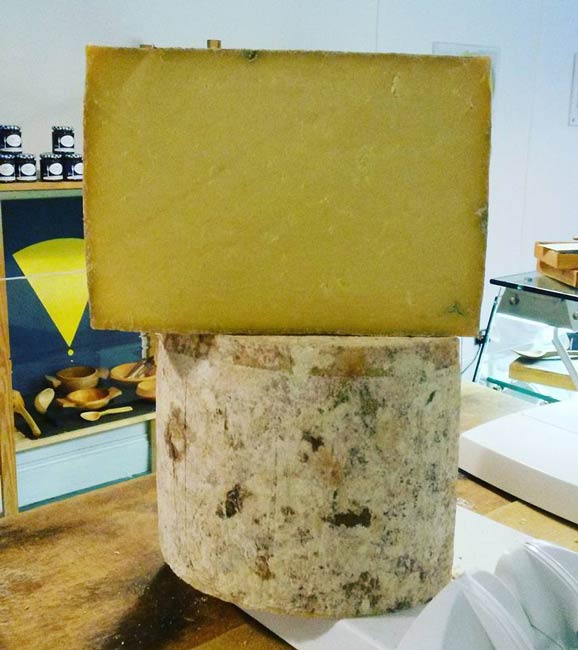 cheddar